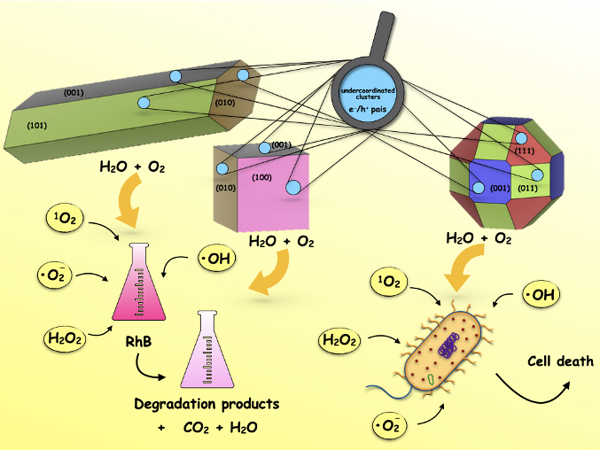 New Article – Computational Materials Science