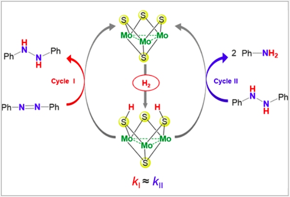 New Article – ACS Catalysis
