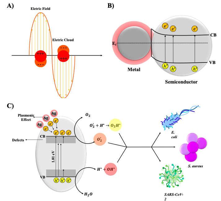 Published paper is one of the most viewed in Special Issue